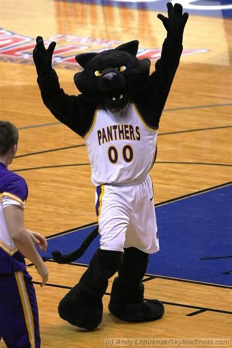 The Northern Iowa Mascot's Role in Building Team Spirit